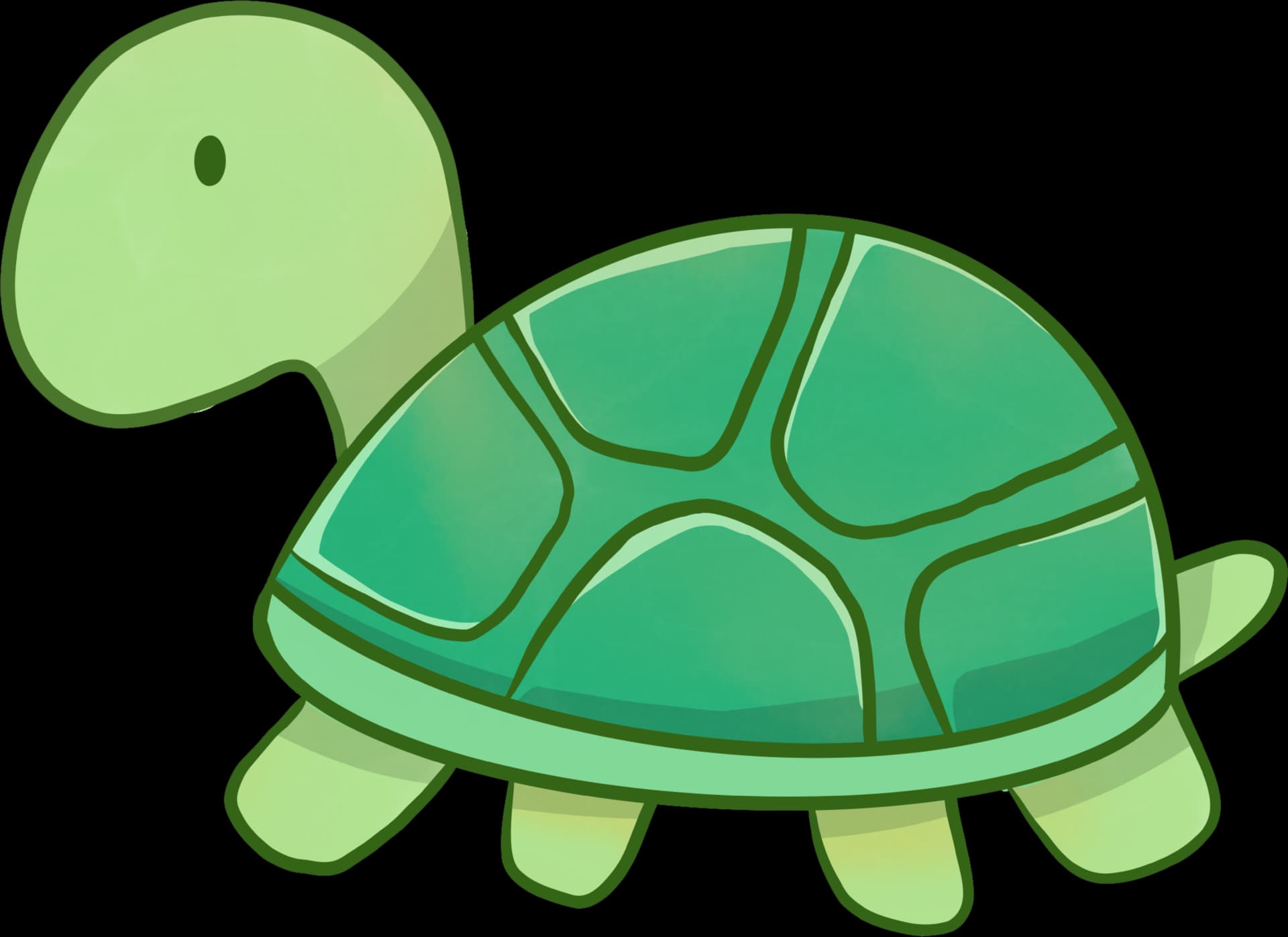 turtle 3