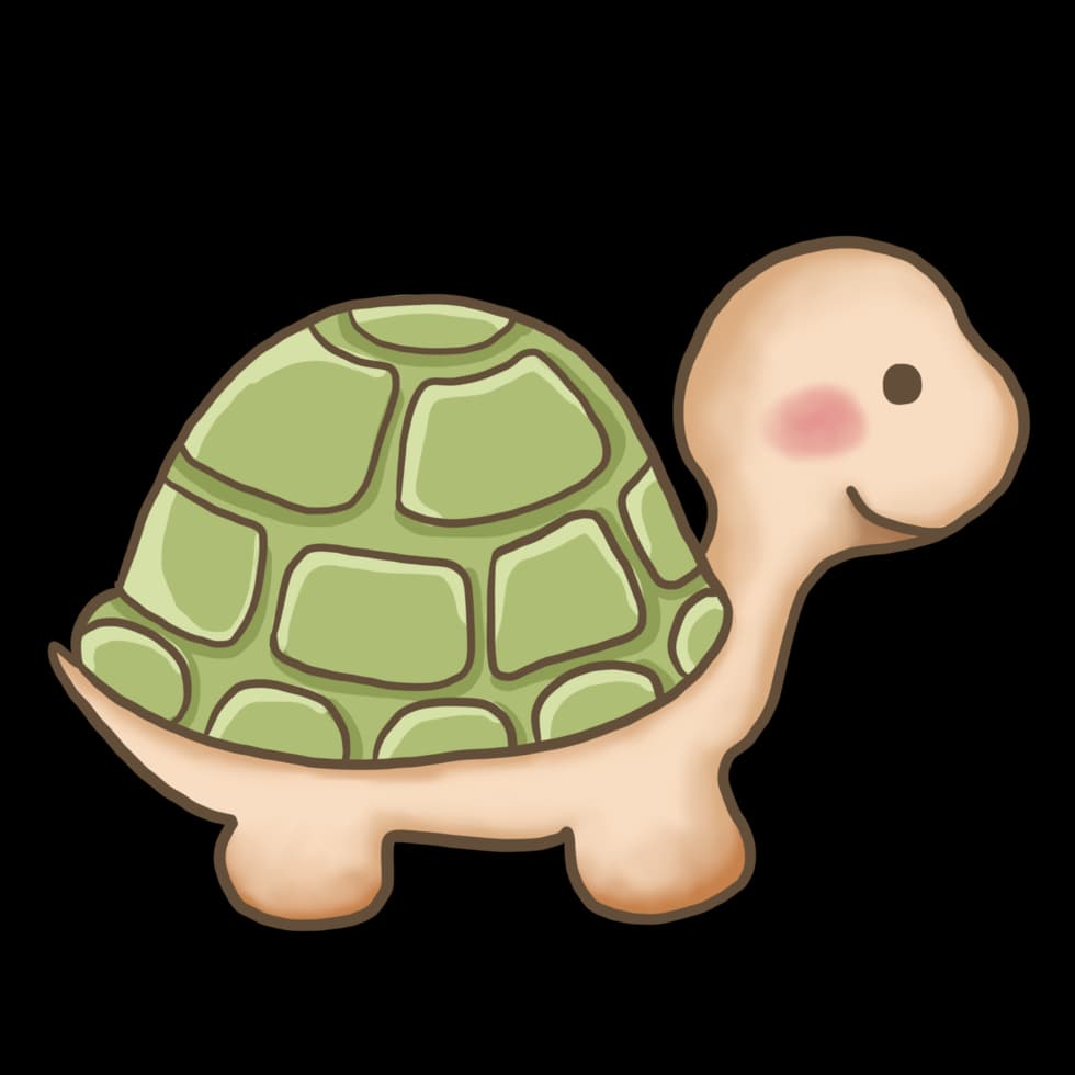 turtle 4